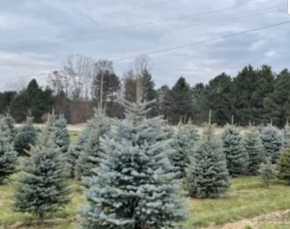 First image of farm