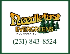 Needlefast Evergreens logo